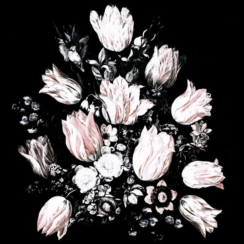 Czarna tapeta w kwiaty Baroque Wallcolors.webp