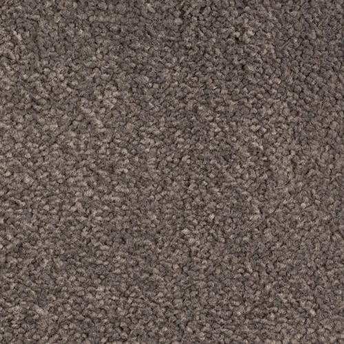 Wykładzina dywanowa Pleasure 820 slate (obiektowa) 4m