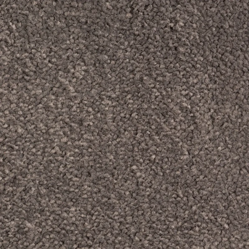 Wykładzina dywanowa obiektowa Pleasure 820 ciemnobeżowa