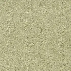 Wykładzina dywanowa domowa AW Verdant 24 zielona