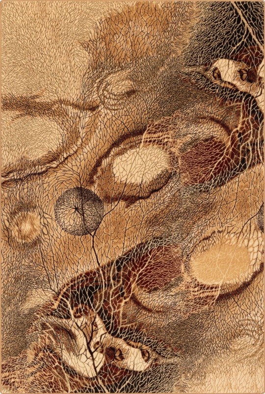 Dywan wełniany nowoczesny Agnella Isfahan Bellona bursztyn 200x300 cm 24h