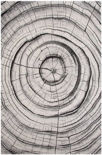 Dywan nowoczesny 3d Dywilan Luna Wood grey