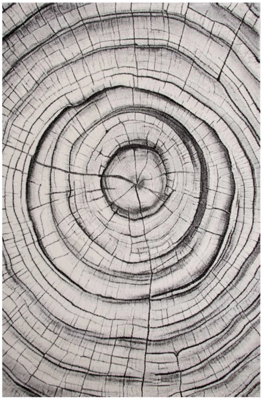 Dywan nowoczesny 3d Dywilan Luna Wood grey