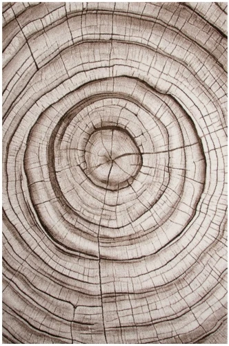 Dywan nowoczesny 3d Dywilan Luna Wood beżowy