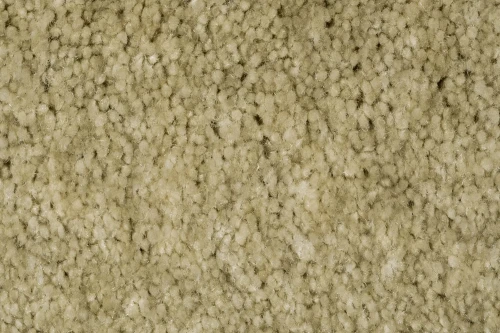 Jasno zielona wykładzina dywanowa AW Obsession 29