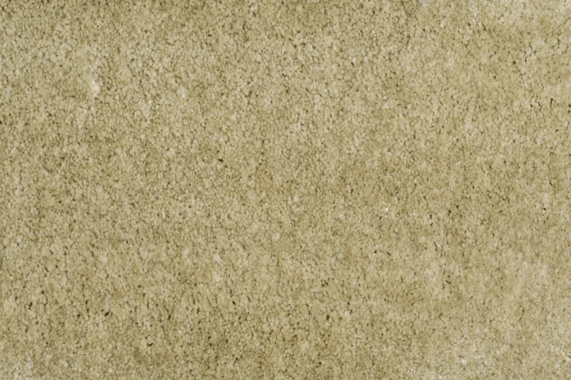 Wykładzina z ciętym runem zielona AW Obsession 29