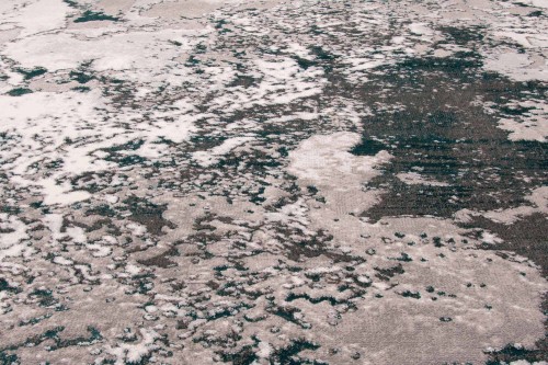 Runo dywanu nowoczesnego Dywilan Stylish 16/G8780 szaro-zielony