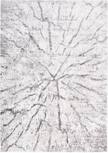 Dywan nowoczesny Sky EZM pień FM28A szary