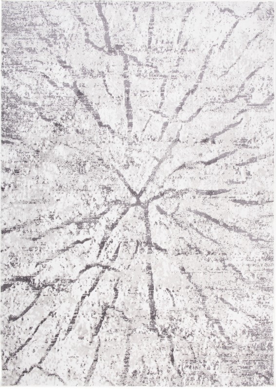 Dywan nowoczesny Sky EZM pień FM28A szary