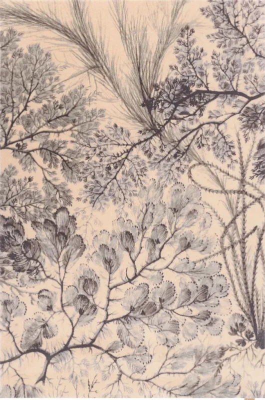 Dywan wełniany Agnella Calisia Kelp miętowy (binding)