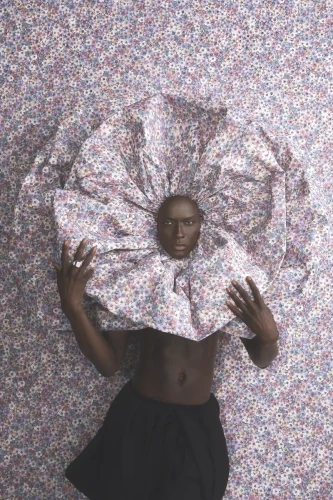 Papis Loveday tapety Icon.webp