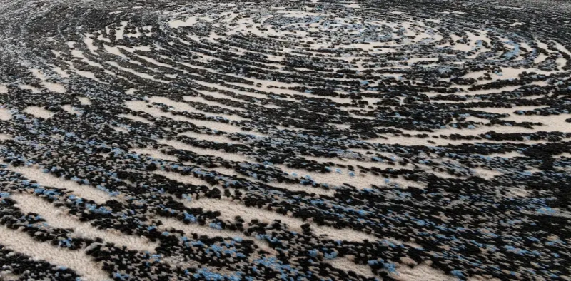 Dywan 3d FD Lush Vitel P antracyt (binding) dwupoziomowe runo