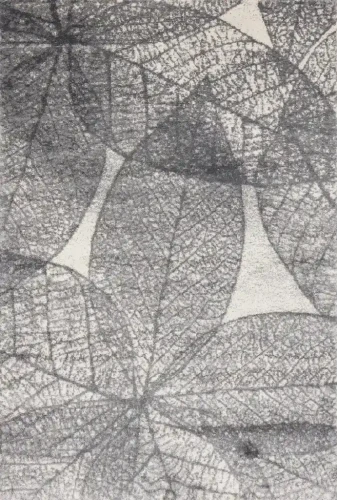 Dywan nowoczesny FD Lush Haust popiel (binding)