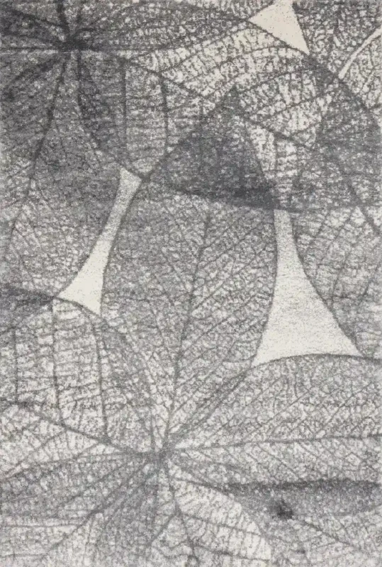 Dywan nowoczesny FD Lush Haust popiel (binding)