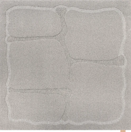 Dywan wełniany Agnella Ladnini Morphic Organica szary 160x160 cm 24h