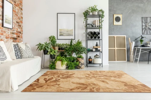 Dywan nowoczesny FD Standard Floris beż aranżacja