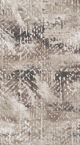 Dywan nowoczesny Laila 2502A d.beige coken/d.beige 