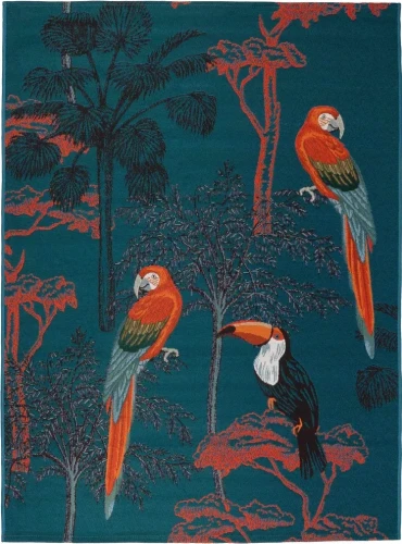 Dywan zewnętrzny Jungle papugi wielokolorowy