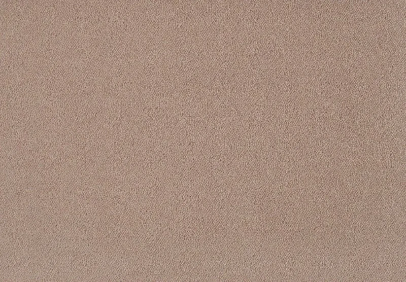 Wykładzina dywanowa Zen 261 camel
