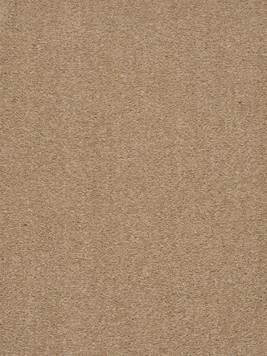 Wykładzina dywanowa Traviata 230 (obiektowa) 5m