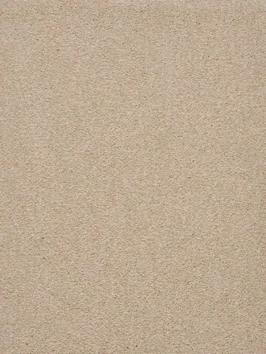 Wykładzina dywanowa Traviata 250 (obiektowa) 4m