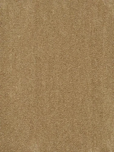 Wykładzina dywanowa Traviata 280 (obiektowa) 5m