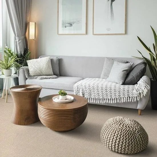 Wykładzina dywanowa Traviata 230 beżowa do salonu