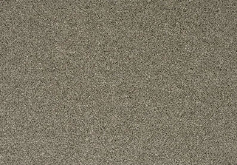 Wykładzina dywanowa Pleasure 220 beż