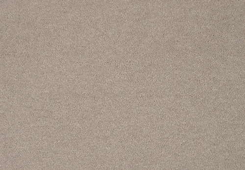 Wykładzina dywanowa Pleasure 240 (obiektowa) 4m