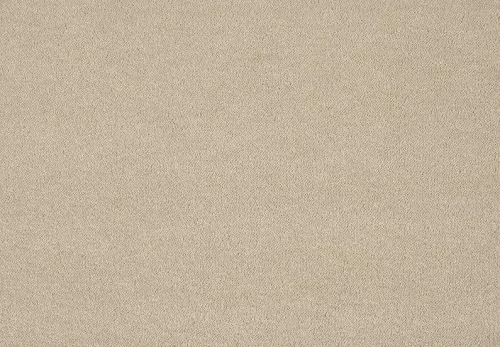 Wykładzina dywanowa Pleasure 260 (obiektowa) 5m