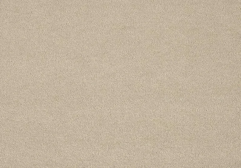 Wykładzina dywanowa Pleasure 260 camel