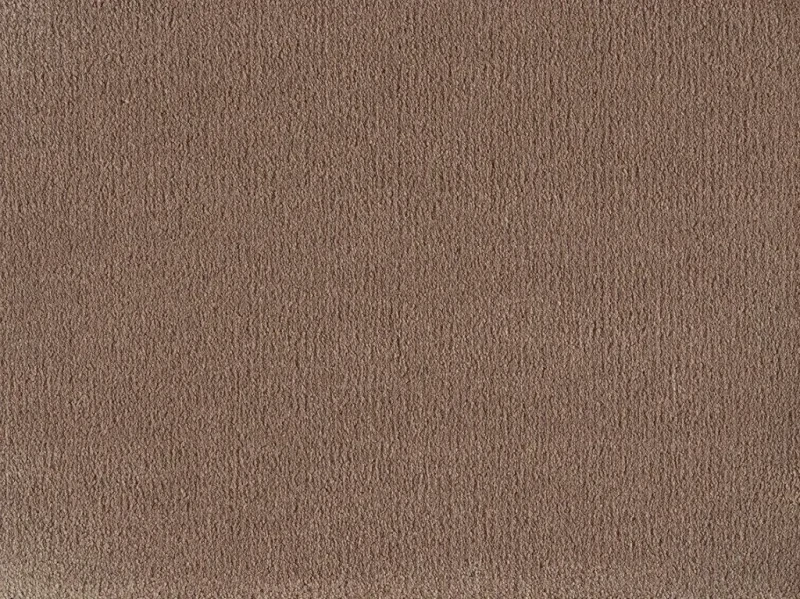 Wykładzina dywanowa Pleasure 421 beżowa