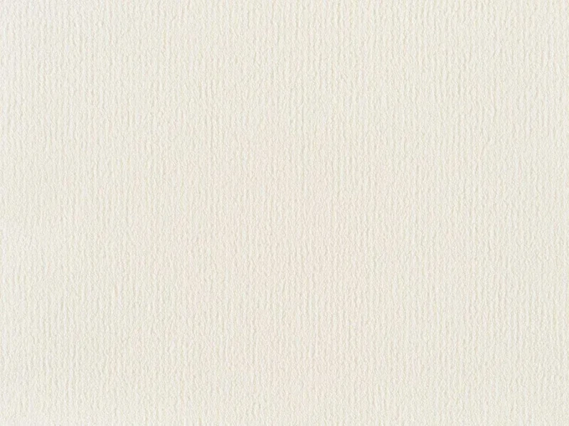 Wykładzina dywanowa Pleasure 891 biała