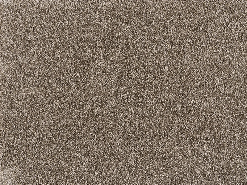 Wykładzina dywanowa Fame 460 (domowa) 5m brązowa