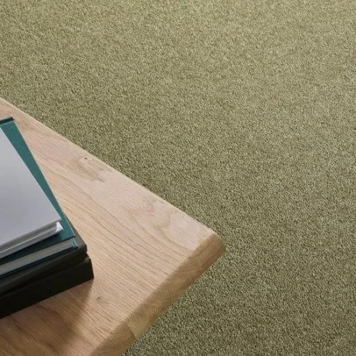 Wykładzina dywanowa Ilumina 500 oliwkowa na podłodze