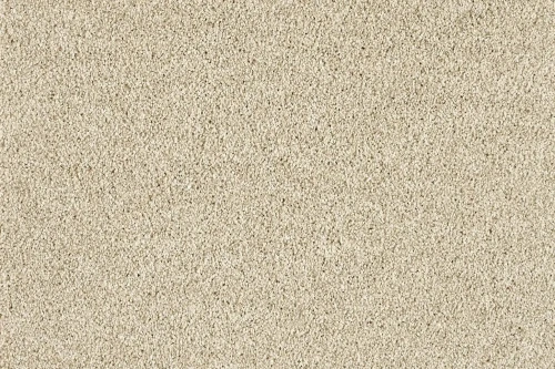 Wykładzina dywanowa Euphoria 250 (obiektowa) 5m   