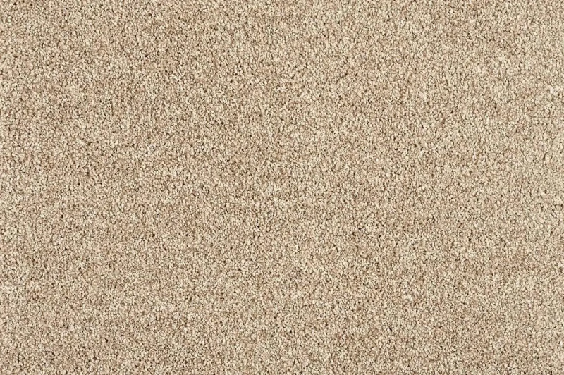 Wykładzina dywanowa Euphoria 260 (obiektowa) beżowa