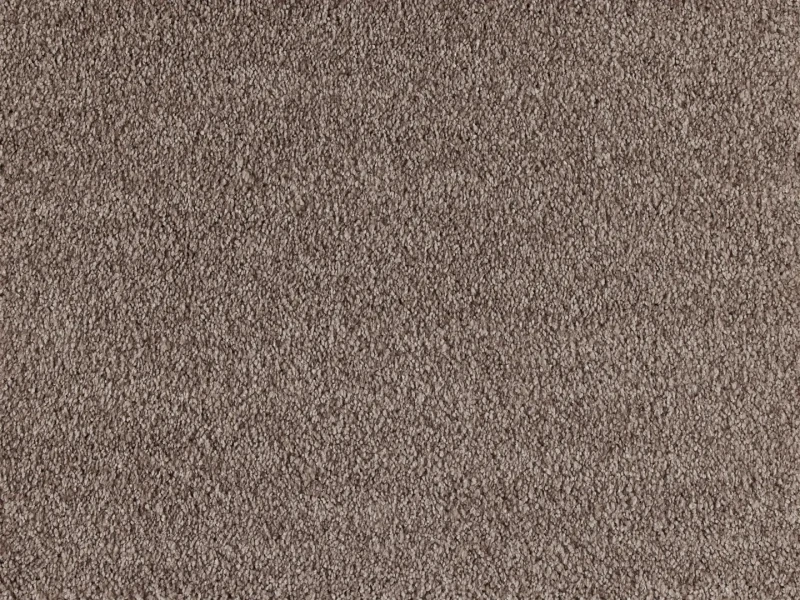Wykładzina dywanowa Euphoria 261 (obiektowa) brązowa