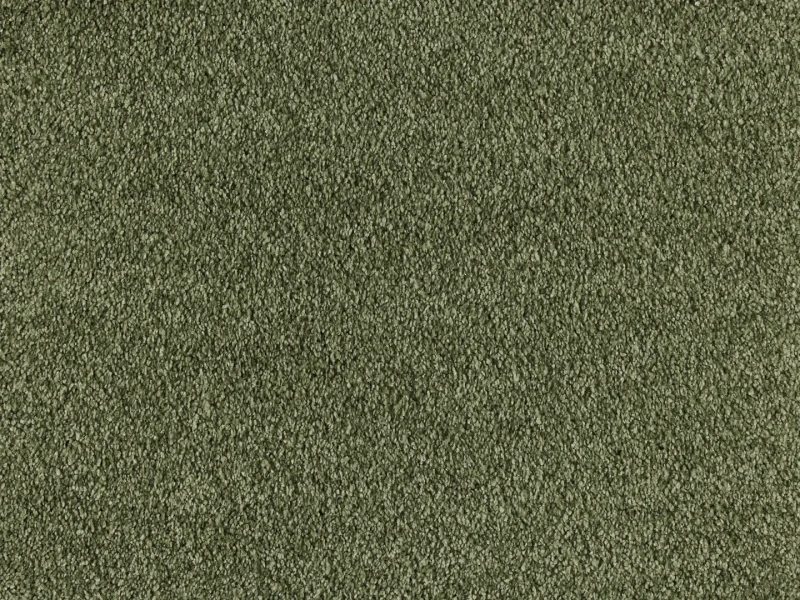 Wykładzina dywanowa Euphoria 481 (obiektowa) zielona