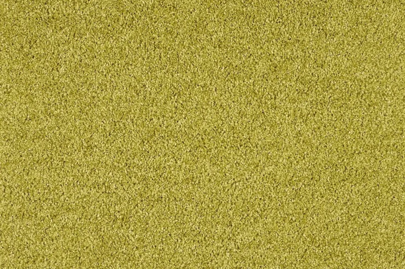 Wykładzina dywanowa Euphoria 540 (obiektowa) zielona