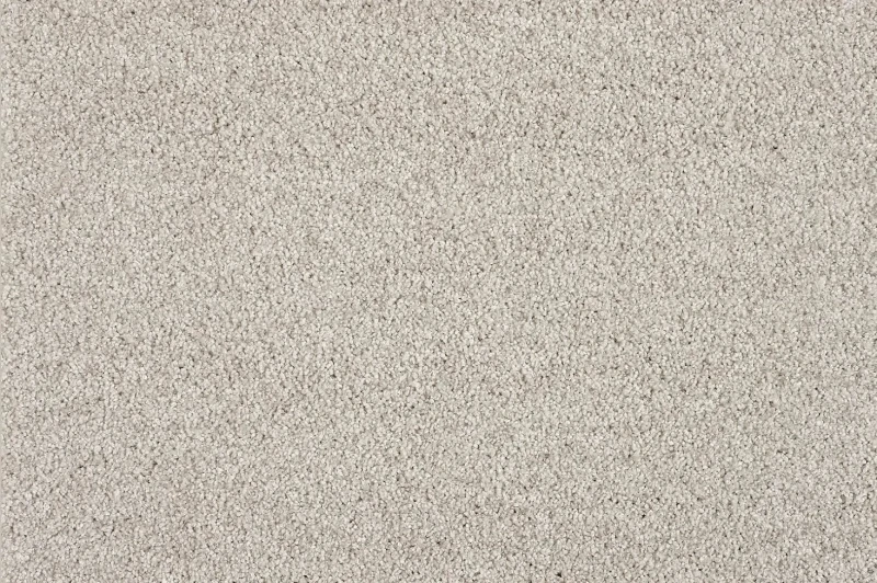 Wykładzina dywanowa Euphoria 880 (obiektowa) jasno szara