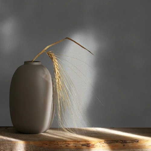 Tapeta gładka szara 36469 Whisper Marburg.webp