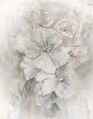 Fototapeta 36394 Marburg Whisper 212x270 cm