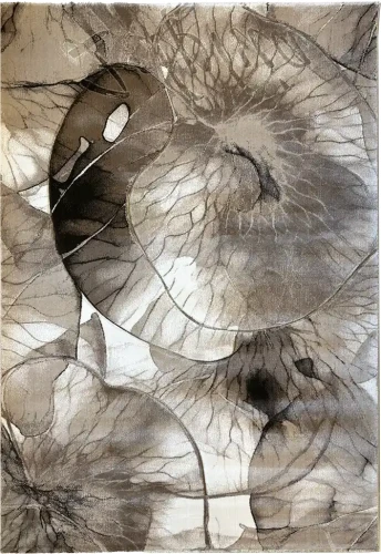 Dywan nowoczesny Dywilan Prestige 2 TE826A brown-cream