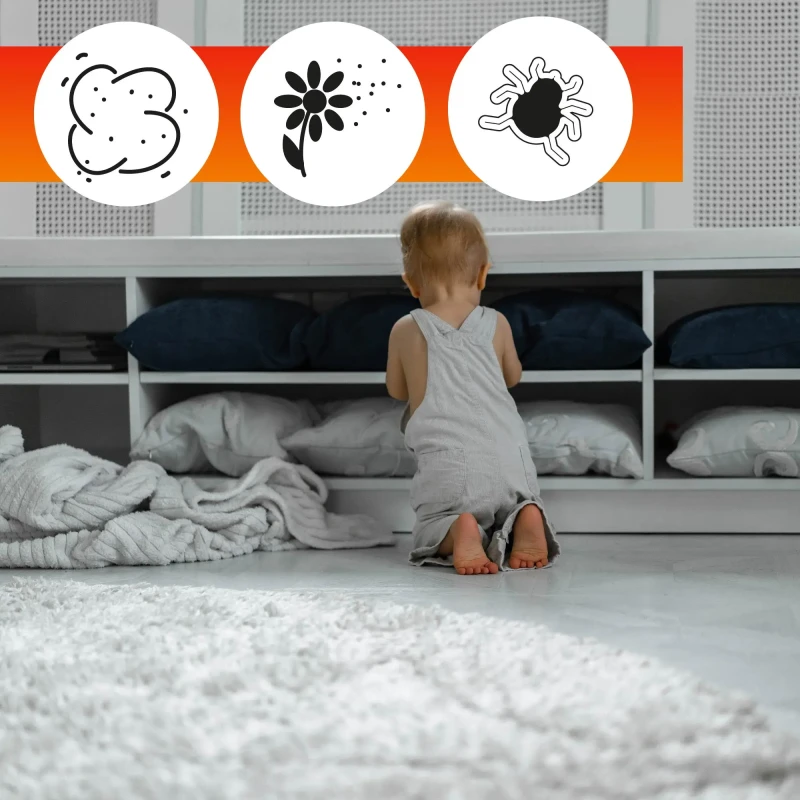 Środek do dywanów dla alergików OA Carpet Care