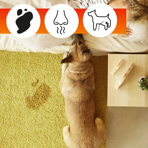 Środek do dywanów przy zwierzętach OA Carpet Care