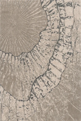 Dywan wełniany Agnella Agnus Marigold ecru (binding)