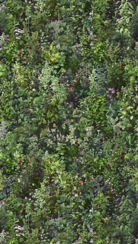 tapeta-mural-79224-1-the-wall-4-detal-zielonej-roslinnosci.webp