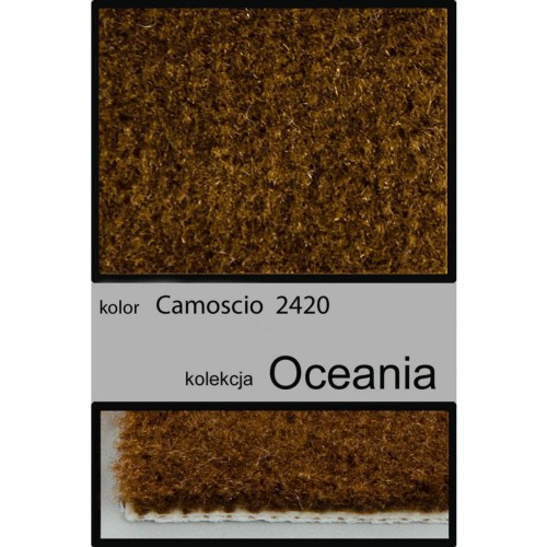 Wykładzina dywanowa OCEANIA 2420 camoscio _dywanywitek_pl_
