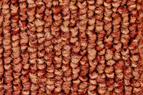 Wykładzina dywanowa MASTER 66 _dywanywitek_pl_